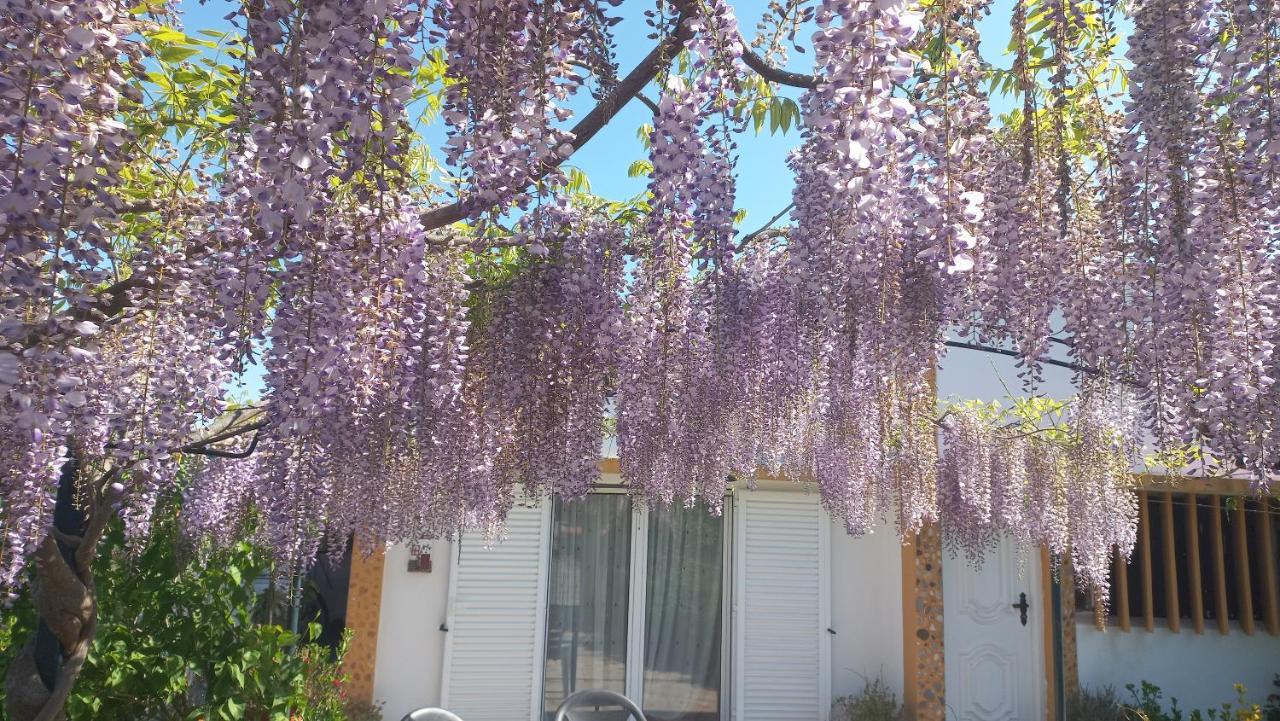 Villa Casa Dos Gansos Perais Esterno foto