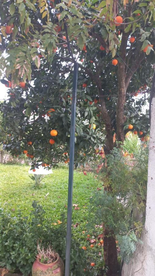 Villa Casa Dos Gansos Perais Esterno foto