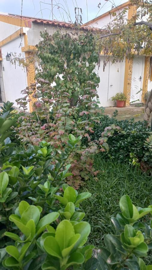 Villa Casa Dos Gansos Perais Esterno foto